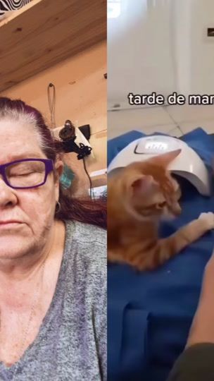 TikTok video thumbnail by tishphelps21