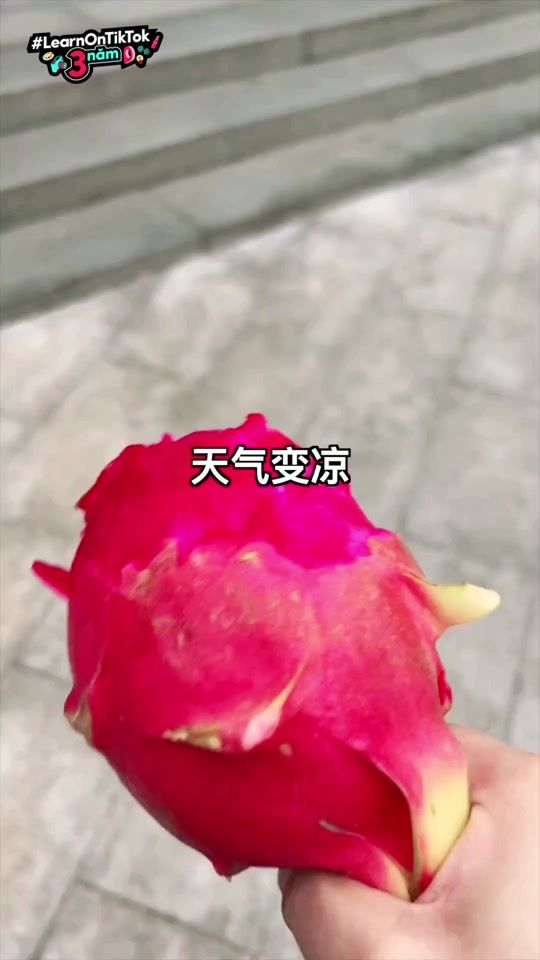 TikTok video thumbnail by jsshbafn4s8