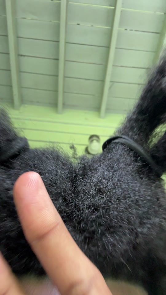 TikTok video thumbnail by therealcupid