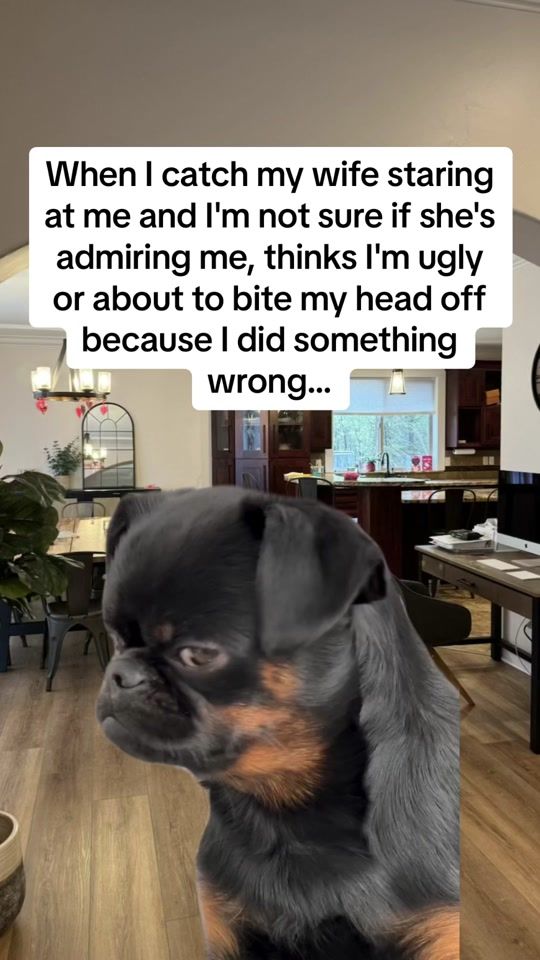 TikTok video thumbnail by pnwdad206