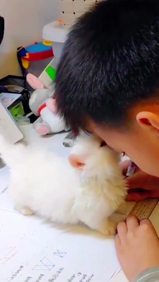 TikTok video thumbnail by amycat88