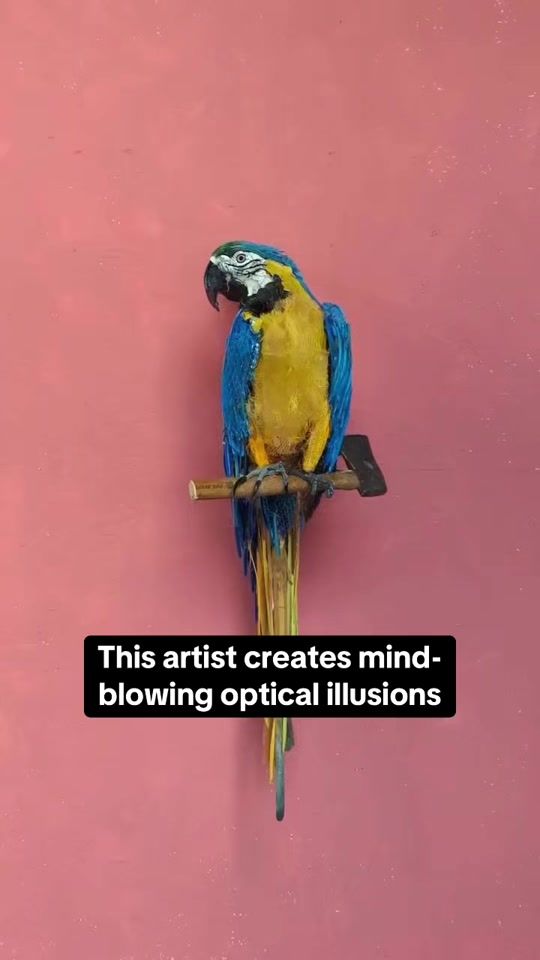 TikTok video thumbnail by street_art888