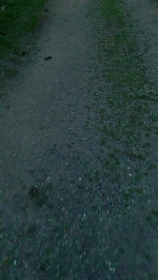 TikTok video thumbnail by 1lilyy11