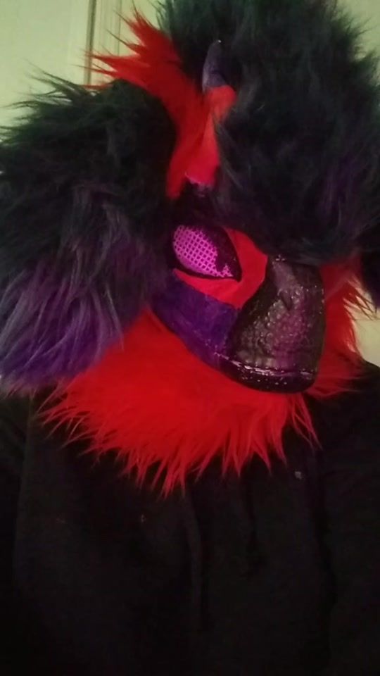 TikTok video thumbnail by salemtheemocat