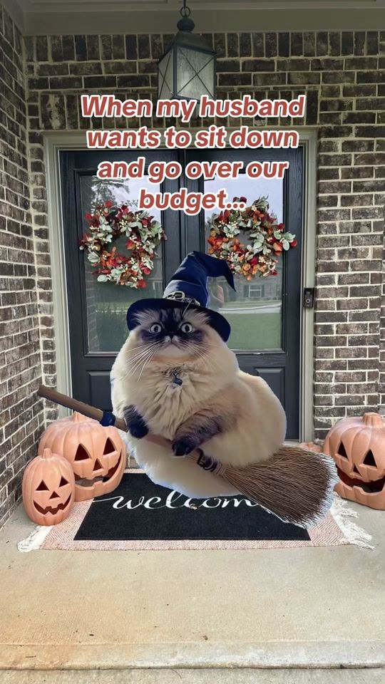 TikTok video thumbnail by kaylynreve