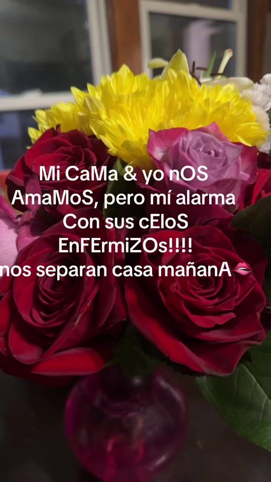 TikTok video thumbnail by lopezaracely1992