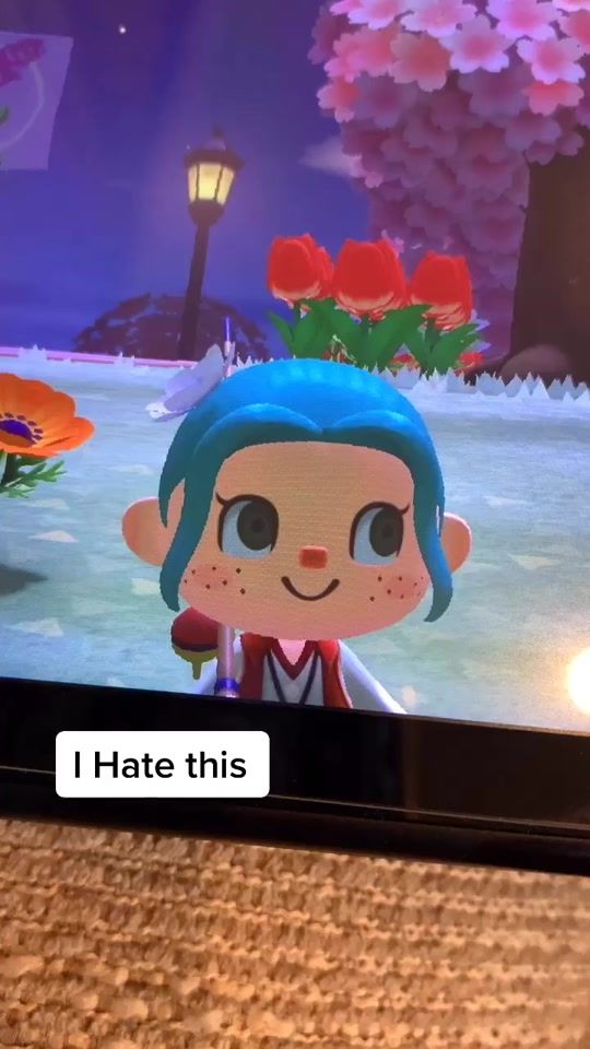 TikTok video thumbnail by shannernanner1