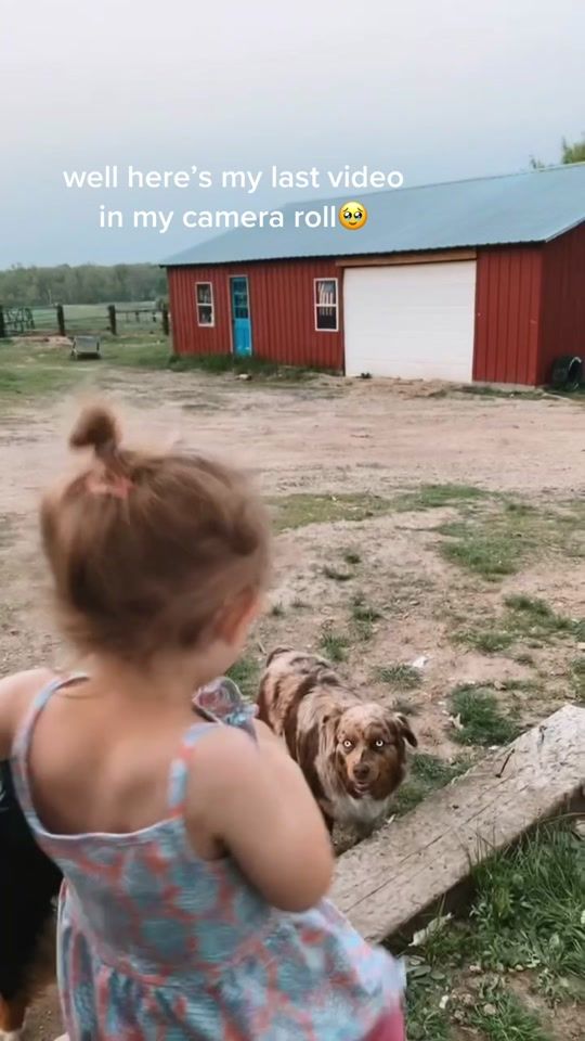 TikTok video thumbnail by shawndalouise
