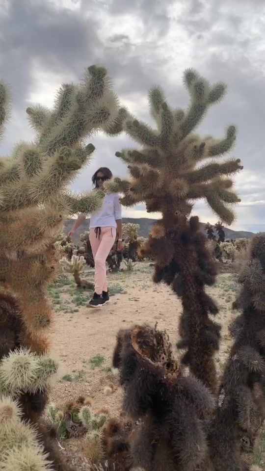 TikTok video thumbnail by varlicious