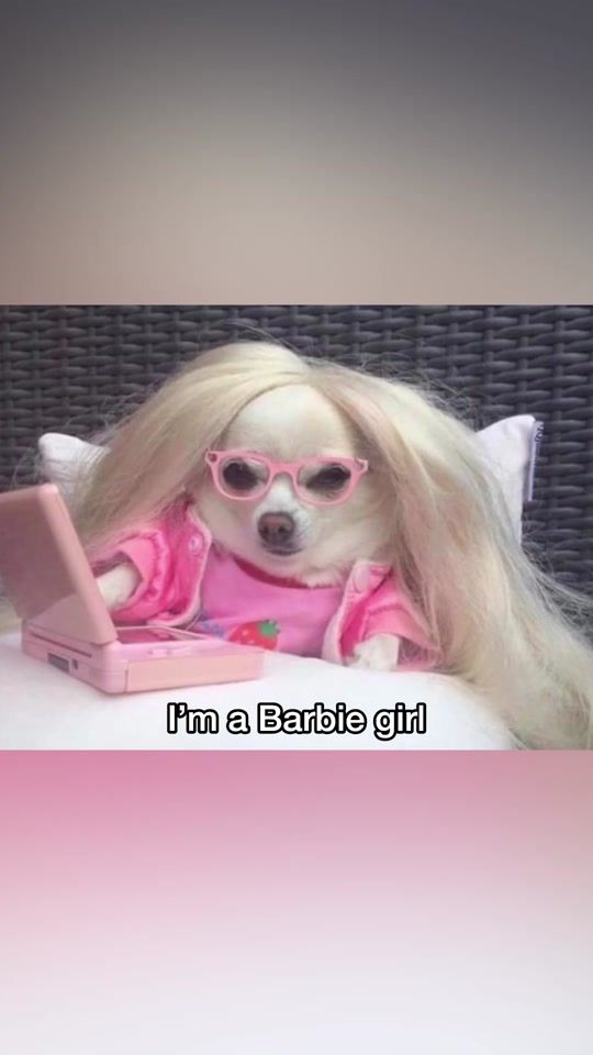 TikTok video thumbnail by doggomusicvideo