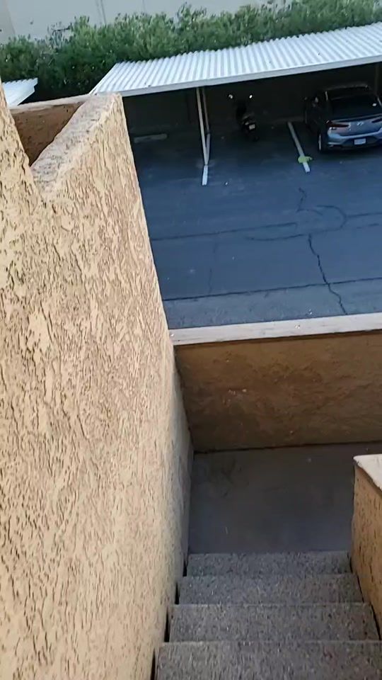 TikTok video thumbnail by pokelover94