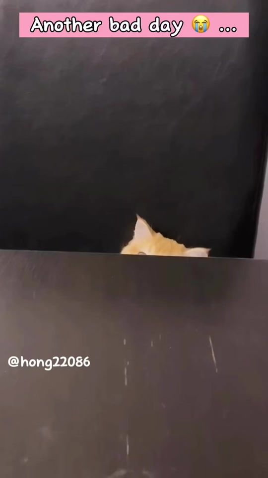 TikTok video thumbnail by hong22086