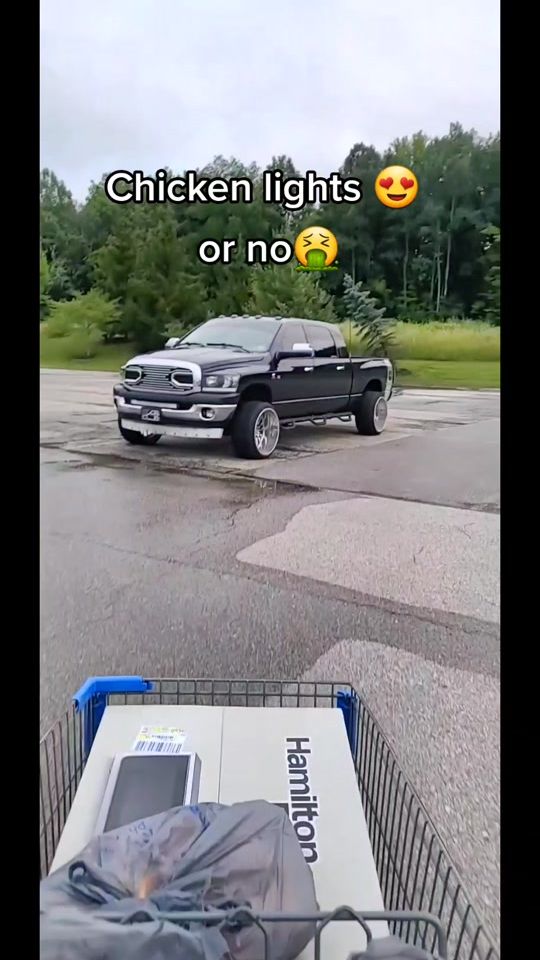 TikTok video thumbnail by limited_lester