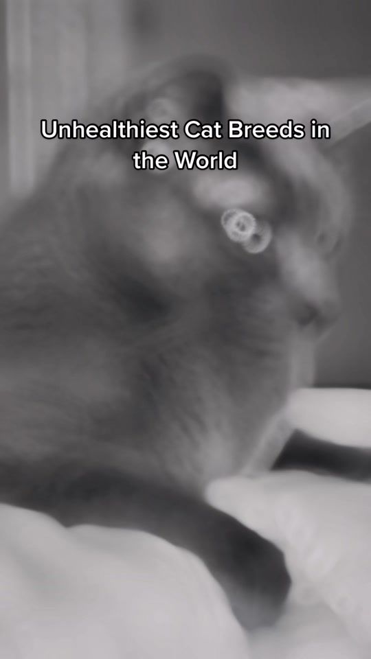 TikTok video thumbnail by warren.john.adams