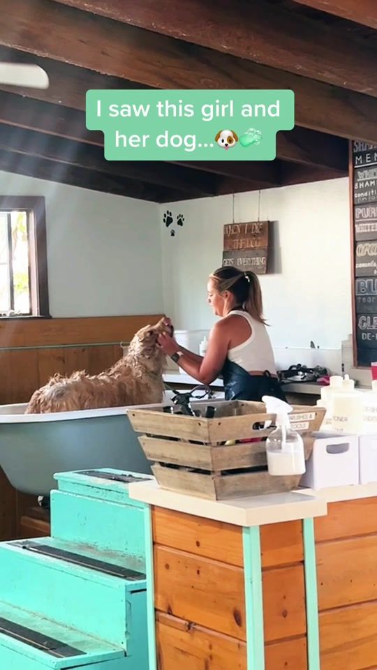 TikTok video thumbnail by karaxlewis