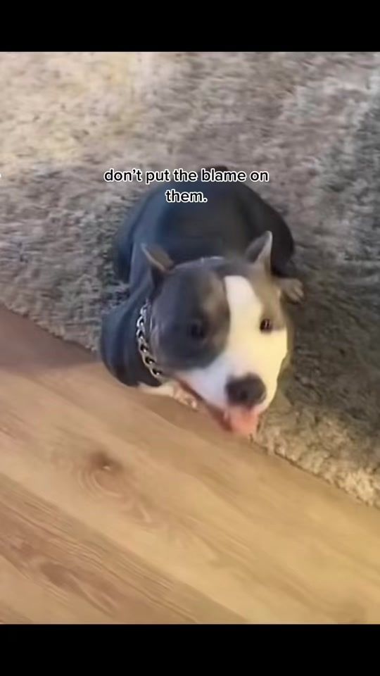 TikTok video thumbnail by jag_onyx0