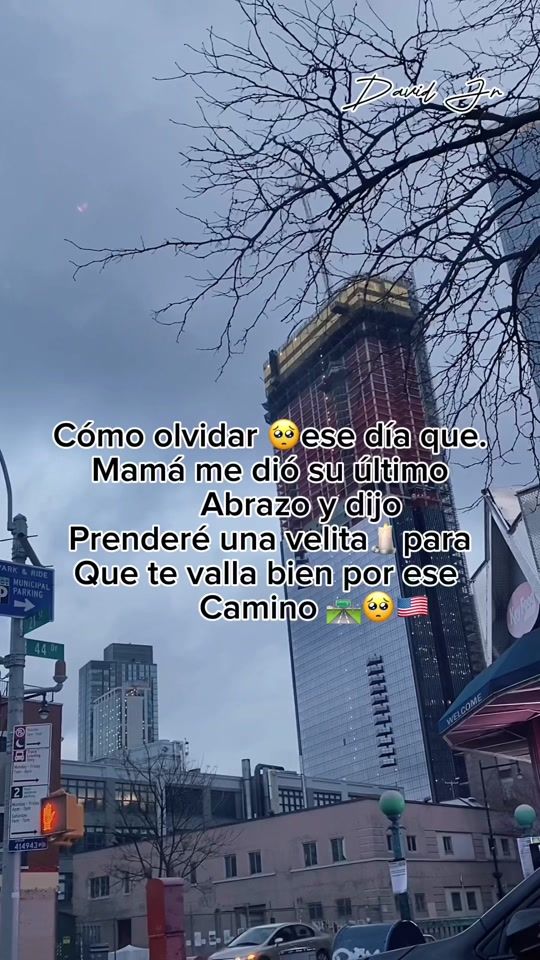 TikTok video thumbnail by davidpdcn