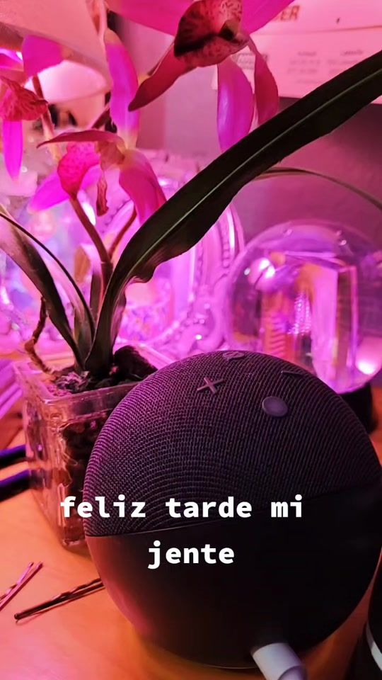 TikTok video thumbnail by cristi20s