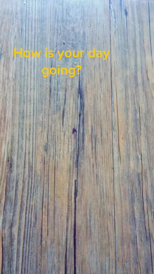 TikTok video thumbnail by artgirl200666