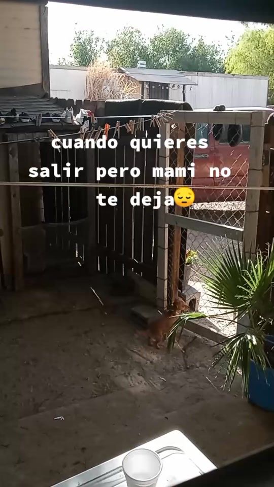 TikTok video thumbnail by lidia92marquez
