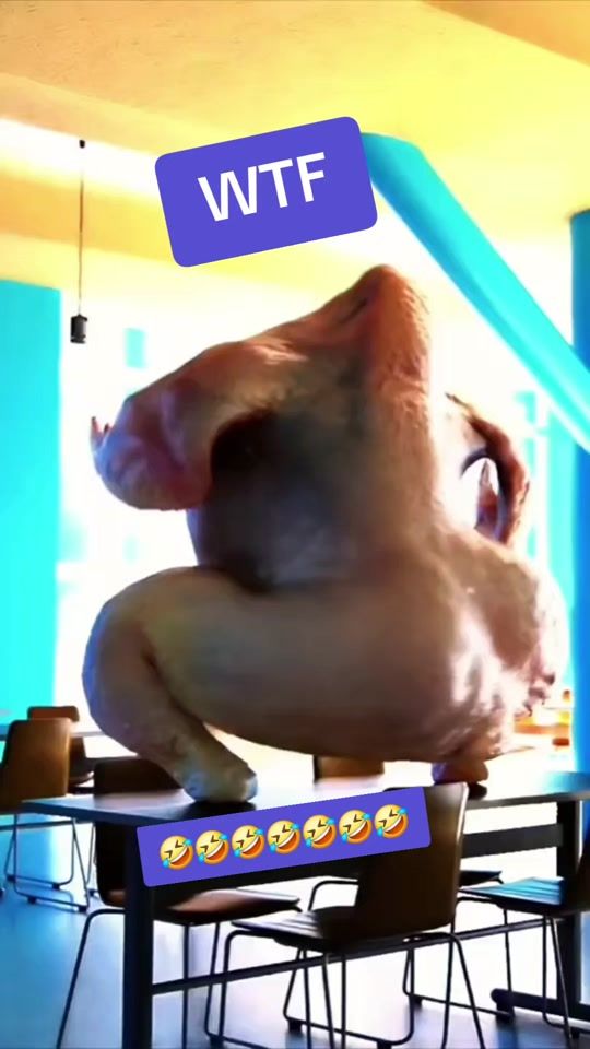 TikTok video thumbnail by kathy..farkin