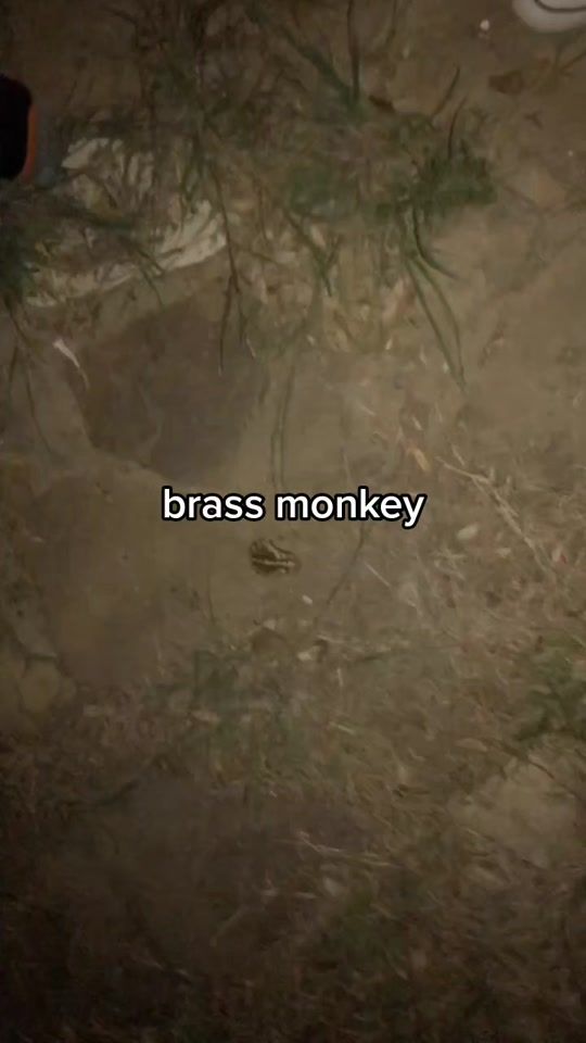 TikTok video thumbnail by isaacresposted