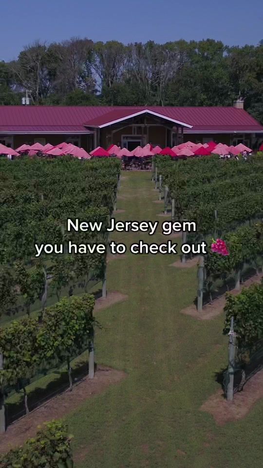 TikTok video thumbnail by njdotcom