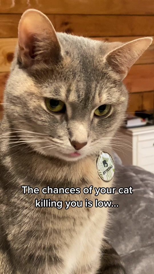 TikTok video thumbnail by kikiandkilo