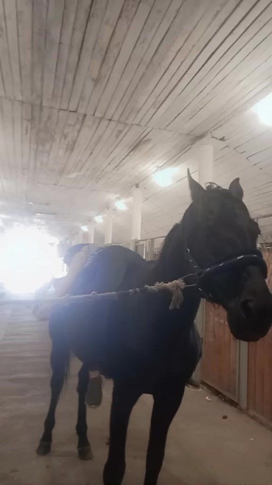 TikTok video thumbnail by abobyc327_0