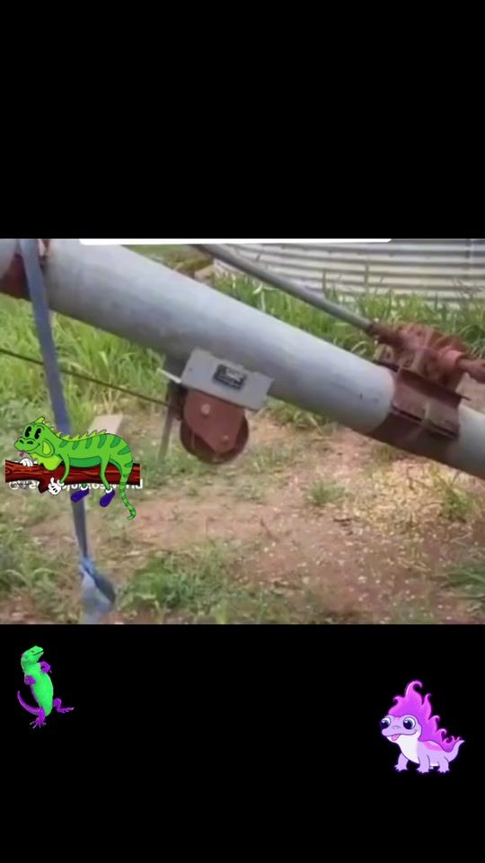 TikTok video thumbnail by panzar42