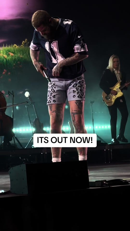 TikTok video thumbnail by devnwild