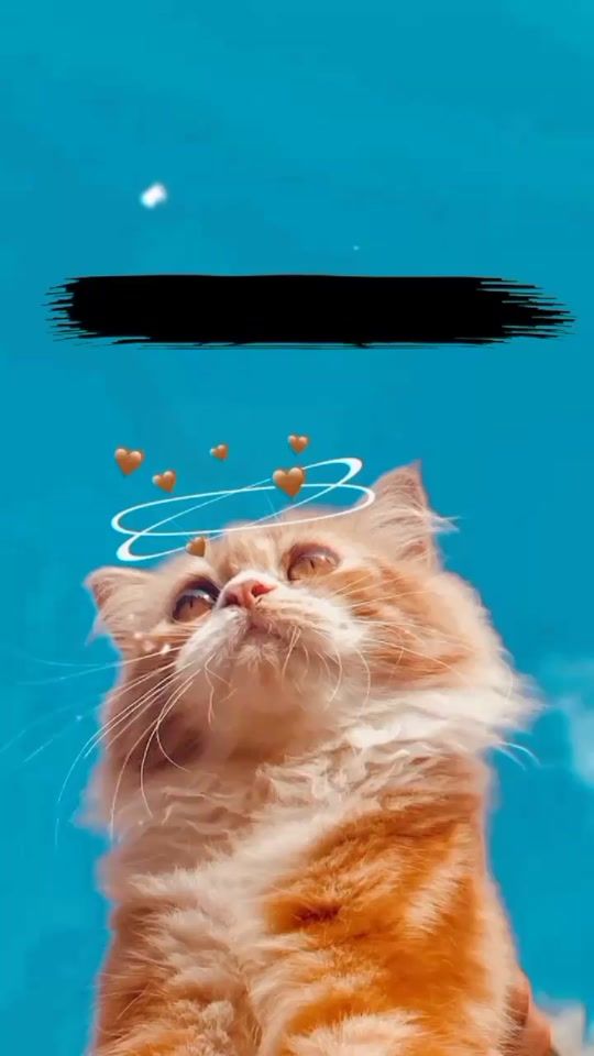 TikTok video thumbnail by itx_fareed_writes
