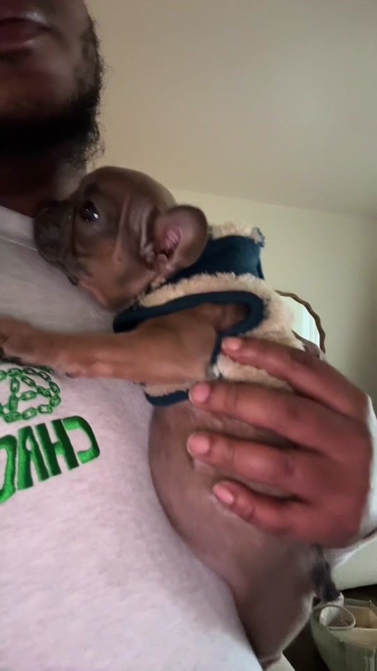 TikTok video thumbnail by jaquansanks1