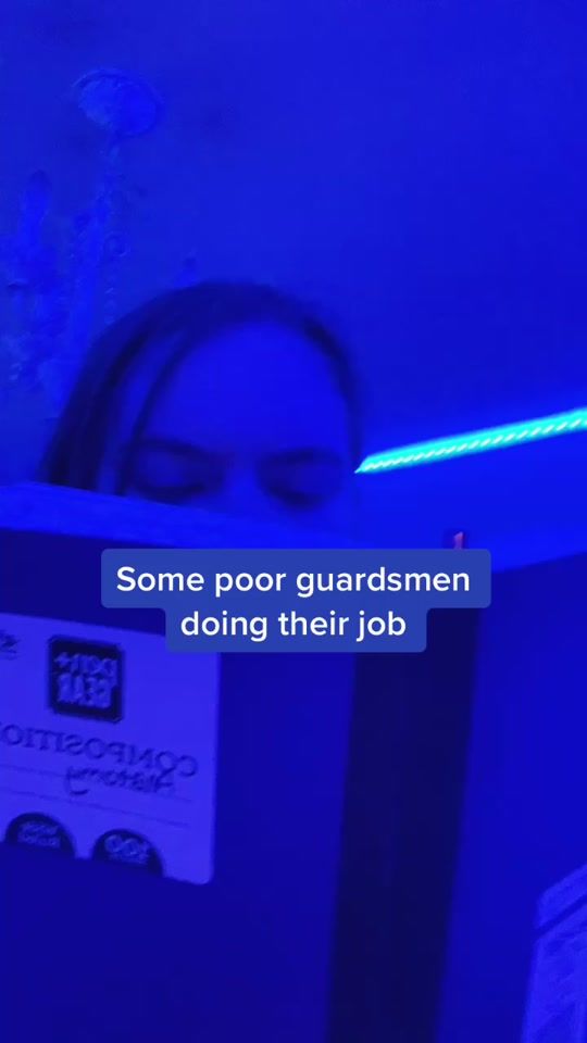 TikTok video thumbnail by dingomcbingo