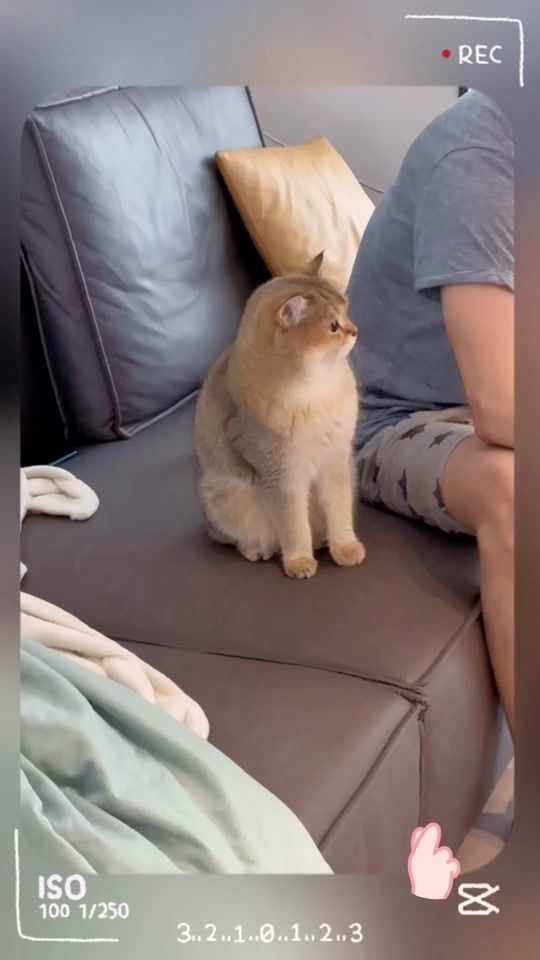 TikTok video thumbnail by may22818