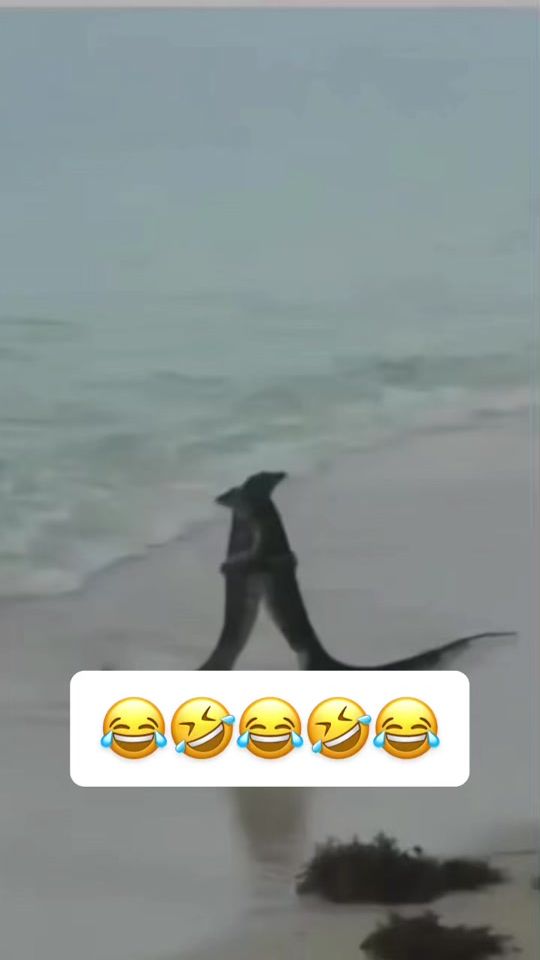 TikTok video thumbnail by sati90002