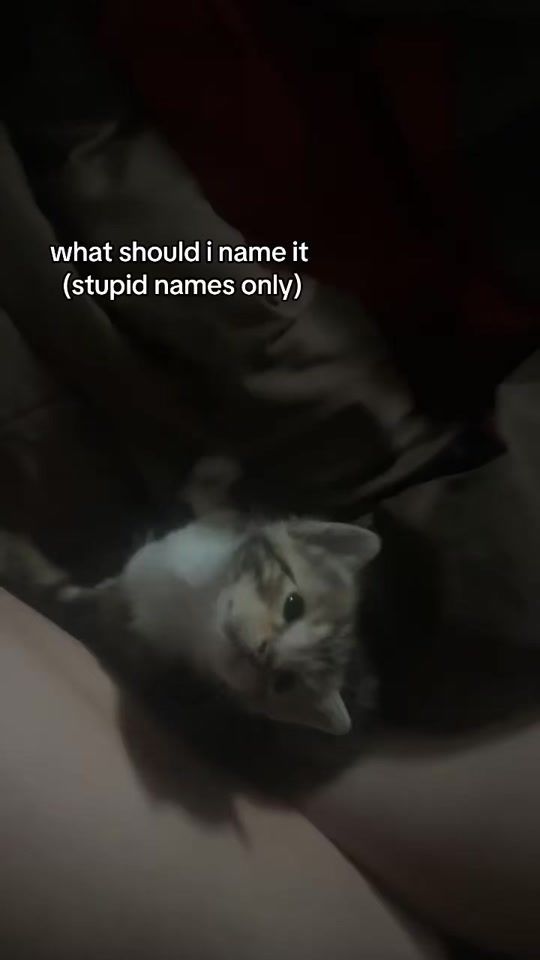 TikTok video thumbnail by impzrt