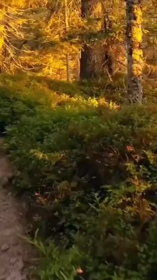 TikTok video thumbnail by alonewthjesus