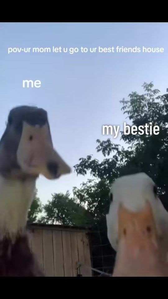 TikTok video thumbnail by jams74c