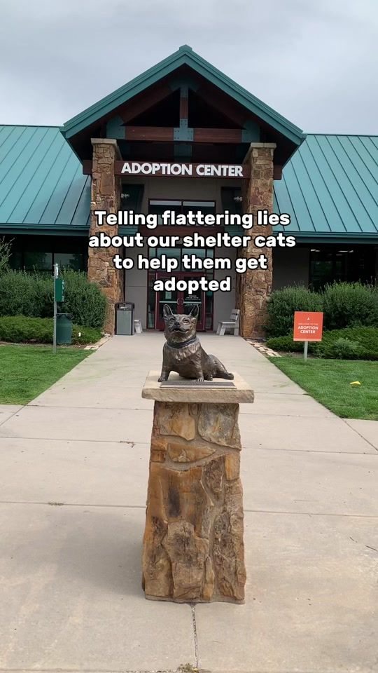TikTok video thumbnail by humanesocietypikespeak