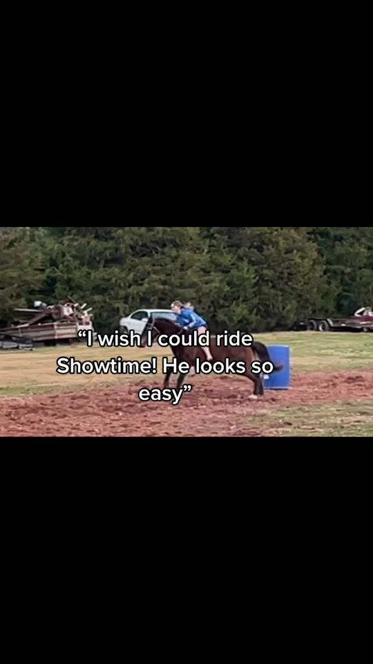 TikTok video thumbnail by horse..trainer