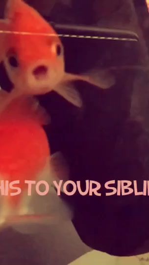 TikTok video thumbnail by .aesthetic_daisys