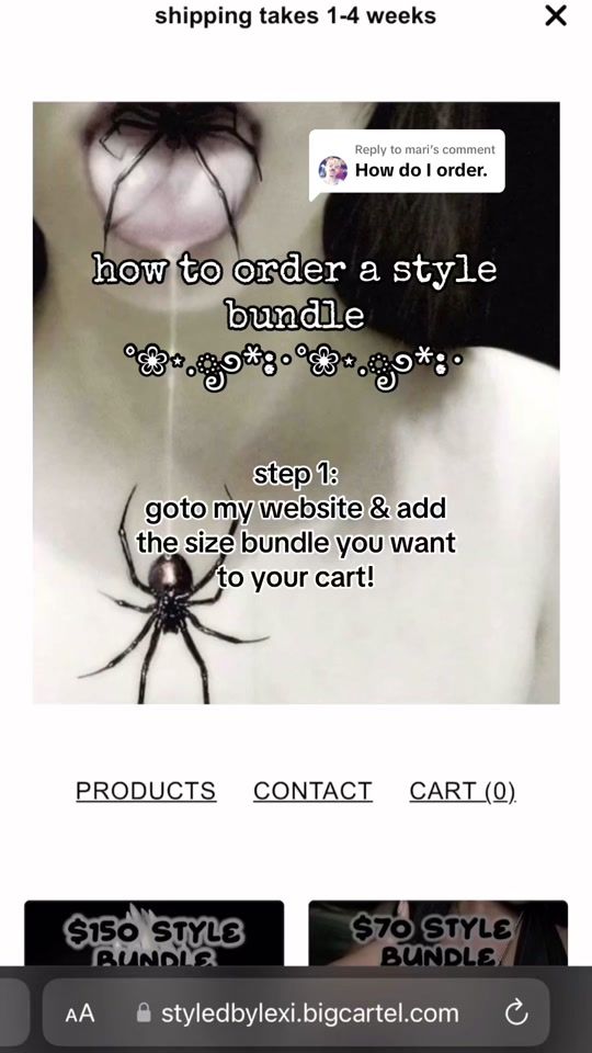 TikTok video thumbnail by princessstylebundles