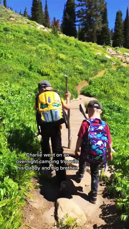 TikTok video thumbnail by chucklesandmeatloaf