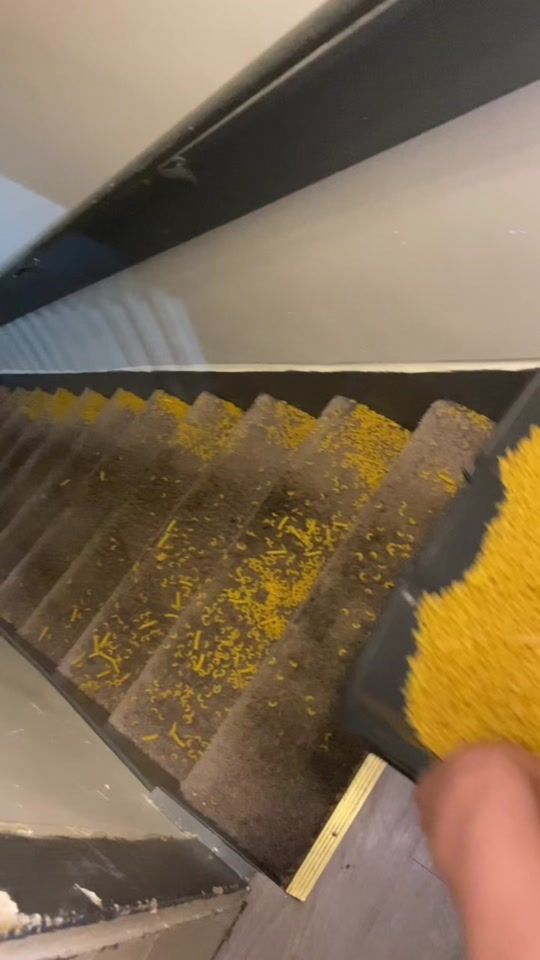TikTok video thumbnail by floofnoodles