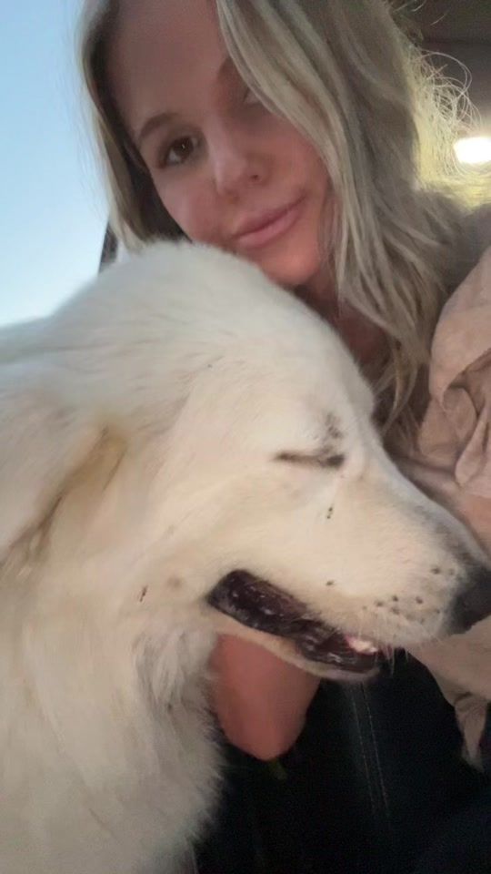 TikTok video thumbnail by linzsmith1