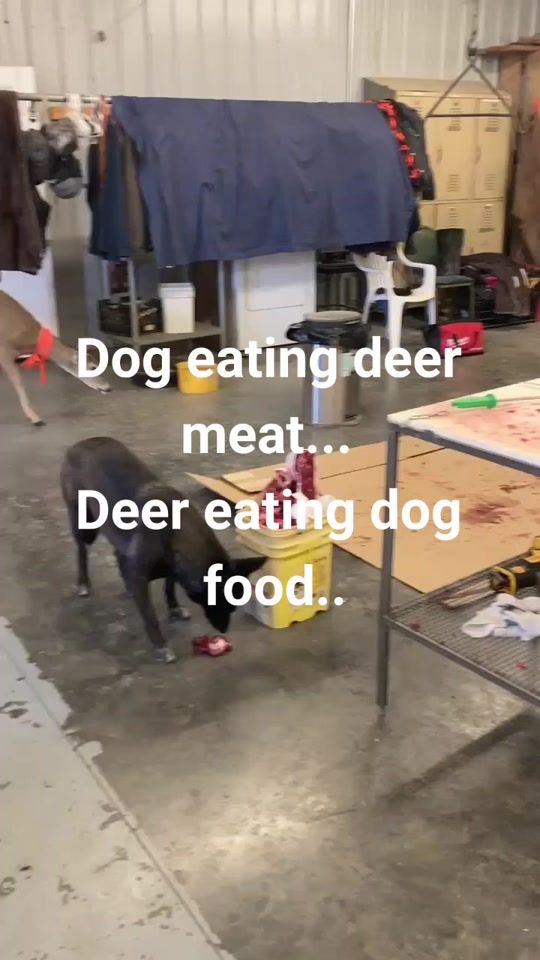 TikTok video thumbnail by nickywinn1