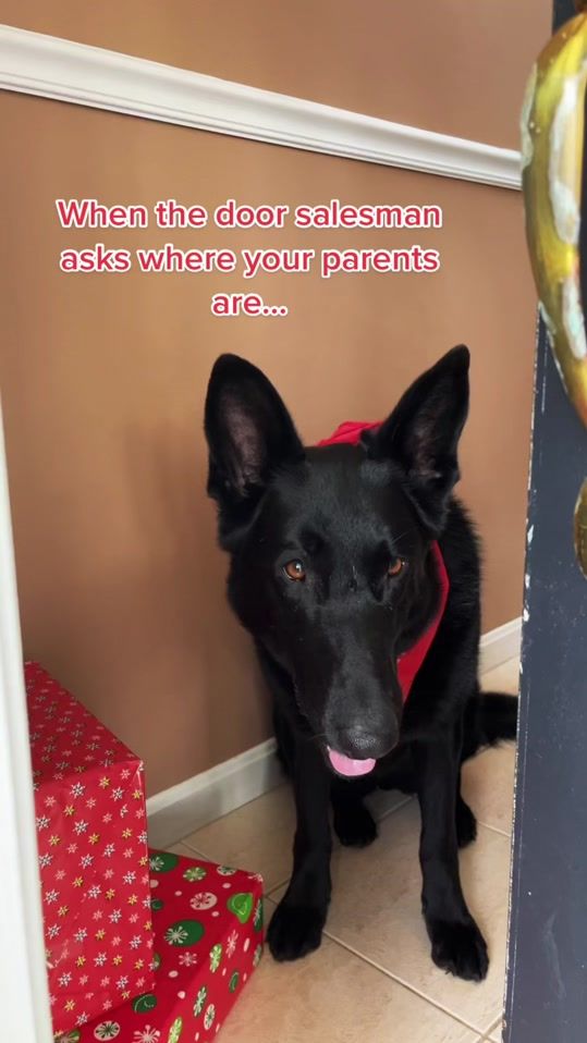 TikTok video thumbnail by larry719_lynda622