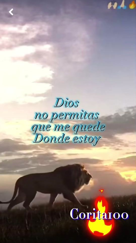 TikTok video thumbnail by corita100