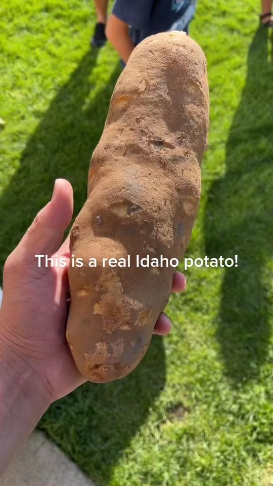 TikTok video thumbnail by idahofarmer